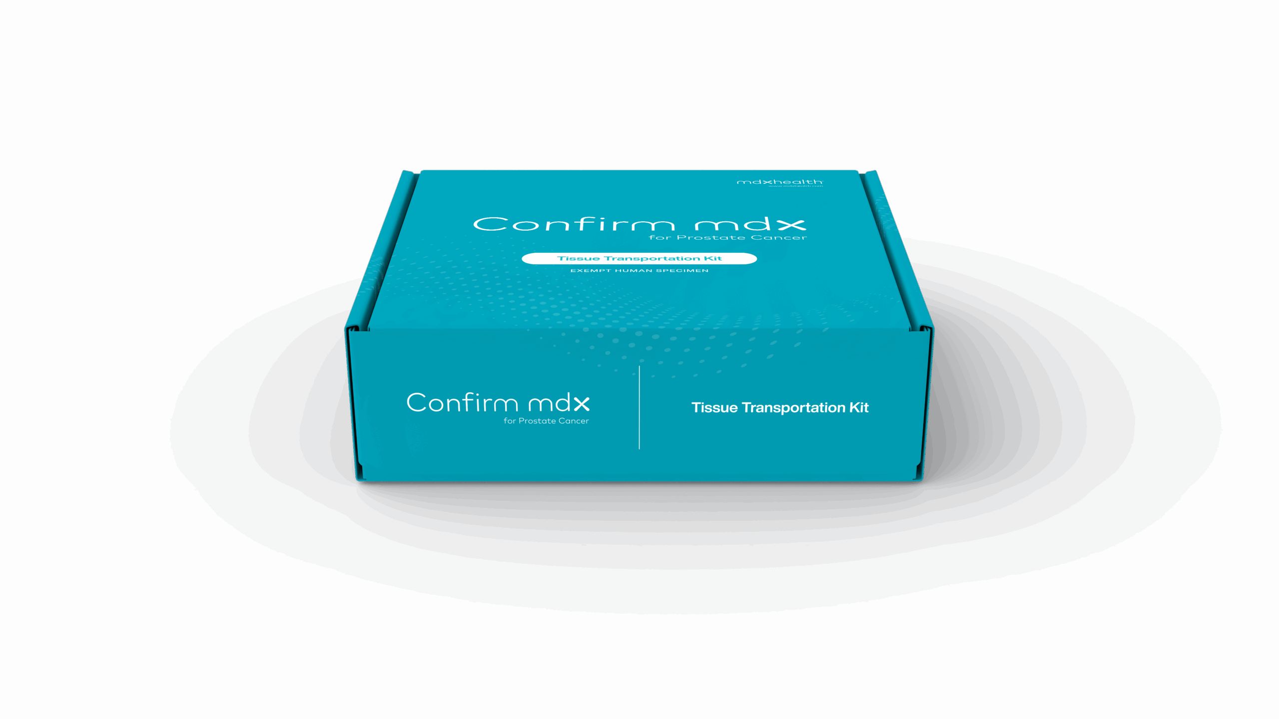 Description of the image